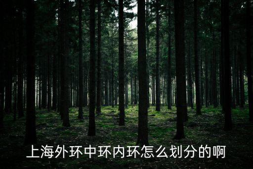 上海外環中環內環怎么劃分的啊