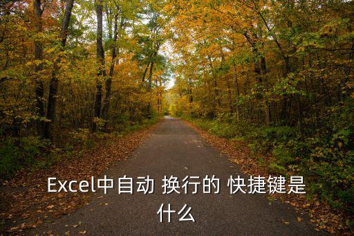 Excel中自動 換行的 快捷鍵是什么