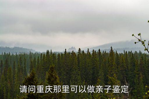 請問重慶那里可以做親子鑒定