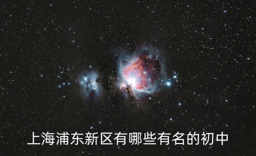 上海浦東新區有哪些有名的初中