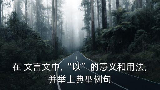 以在文言文中的意思,一字解釋:已經是什么意思?