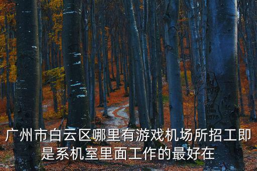 廣州市白云區哪里有游戲機場所招工即是系機室里面工作的最好在