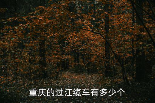 重慶市旅游索道纜車生產廠家，重慶索道在哪個地方做呀