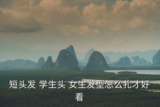 短頭發(fā) 學(xué)生頭 女生發(fā)型怎么扎才好看