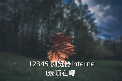  12345 瀏覽器internet選項在哪