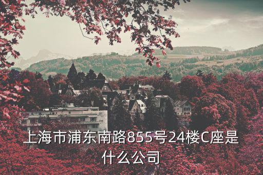 上海市細微信息咨詢有限公司，上海市福州路318號高騰大廈907是什么公司