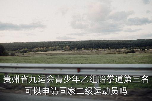 貴州省九運(yùn)會(huì)青少年乙組跆拳道第三名可以申請(qǐng)國(guó)家二級(jí)運(yùn)動(dòng)員嗎