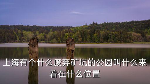 上海市天坑，上海有個(gè)什么廢棄礦坑的公園叫什么來著在什么位置