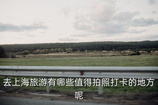 去上海旅游有哪些值得拍照打卡的地方呢