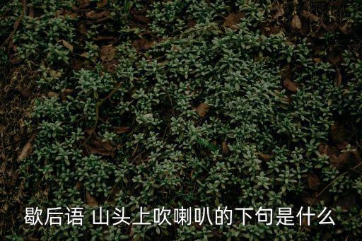 歇后語 山頭上吹喇叭的下句是什么