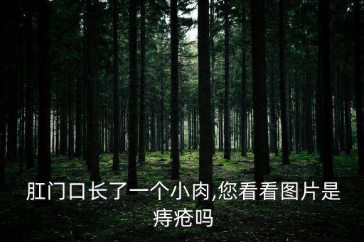  肛門(mén)口長(zhǎng)了一個(gè)小肉,您看看圖片是 痔瘡嗎