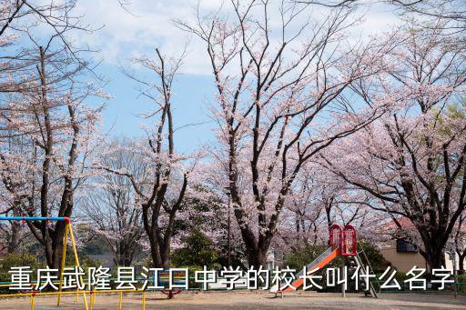 重慶武隆縣江口中學的校長叫什么名字