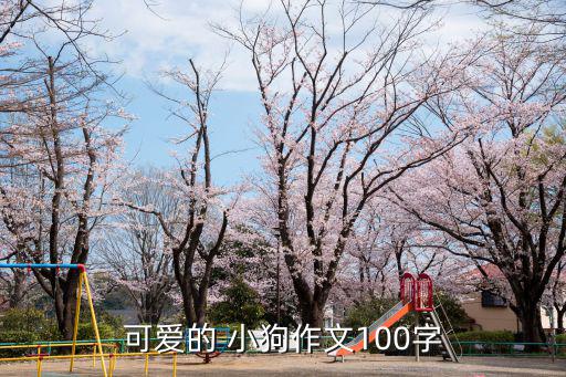 我家的小狗100字