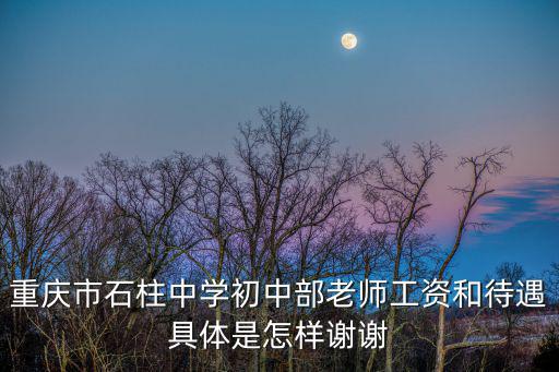 重慶市石柱中學(xué)初中部老師工資和待遇具體是怎樣謝謝