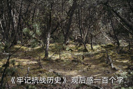 血戰臺兒莊觀后感,中華兒女用生命和鮮血譜寫抗日救亡英雄史詩