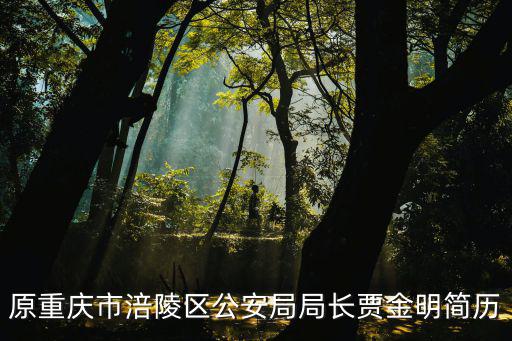 原重慶市涪陵區公安局局長賈金明簡歷