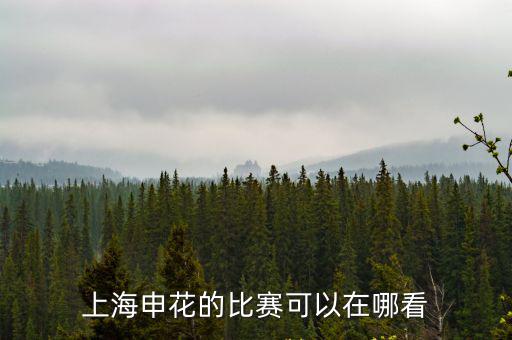 上海申花的比賽可以在哪看