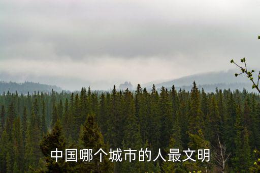 中國哪個城市的人最文明