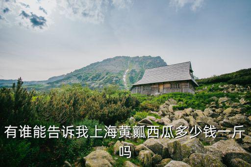 有誰能告訴我上海黃瓤西瓜多少錢一斤嗎