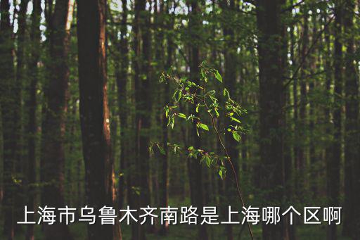 上海市烏魯木齊南路是上海哪個區啊