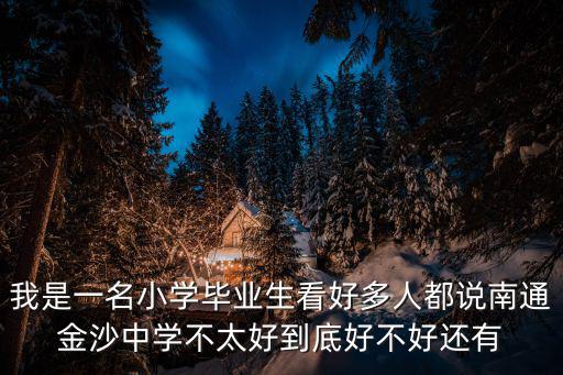 我是一名小學(xué)畢業(yè)生看好多人都說南通金沙中學(xué)不太好到底好不好還有