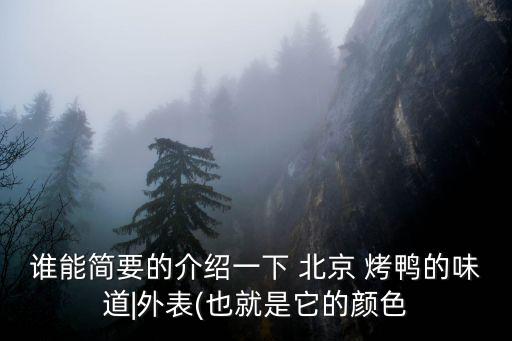 北京烤鴨的特點(diǎn),為取悅?cè)f歲爺朱元璋御廚用叉燒鴨煮鴨