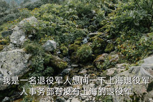 我是一名退役軍人想問一下上海退役軍人事務部有沒有上海的退役軍