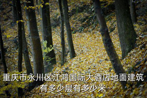 重慶市永川區江鴻國際大酒店地面建筑有多少層有多少米