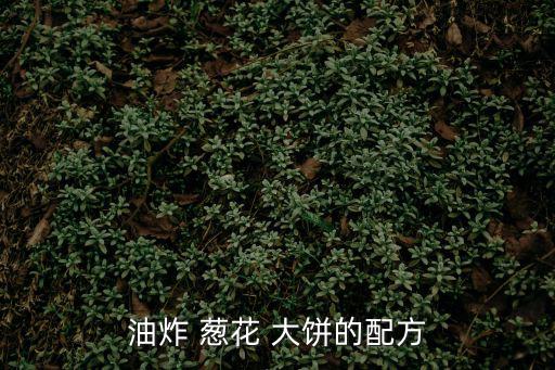 油炸 蔥花 大餅的配方