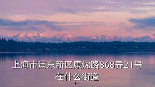 上海市浦東新區(qū)康沈路868弄21號在什么街道
