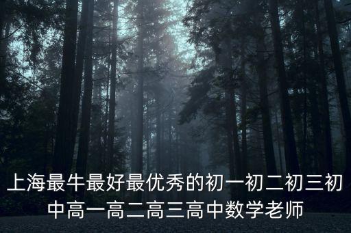 上海最牛最好最優(yōu)秀的初一初二初三初中高一高二高三高中數(shù)學老師