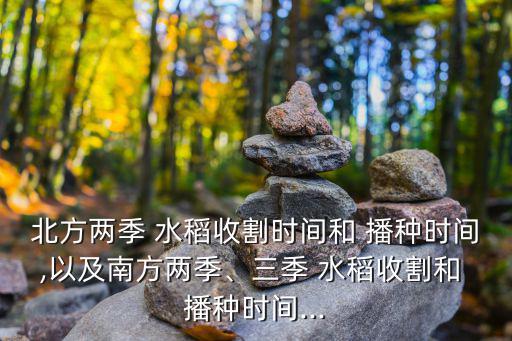 水稻什么時候播種,北方怎么種水稻?