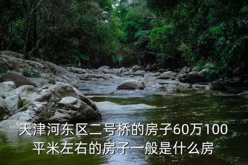 天津河東區二號橋的房子60萬100平米左右的房子一般是什么房