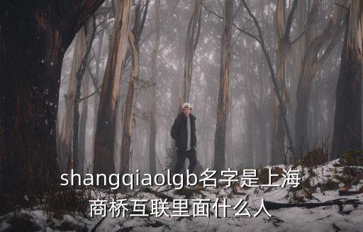 shangqiaolgb名字是上海商橋互聯(lián)里面什么人