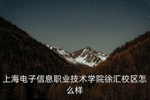上海電子信息職業技術學院徐匯校區怎么樣