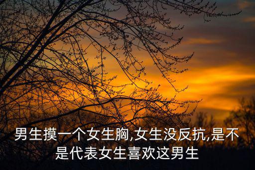 男生摸一個女生胸,女生沒反抗,是不是代表女生喜歡這男生