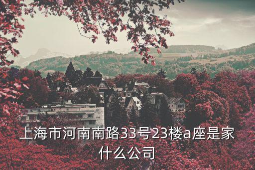 上海市河南南路33號23樓a座是家什么公司