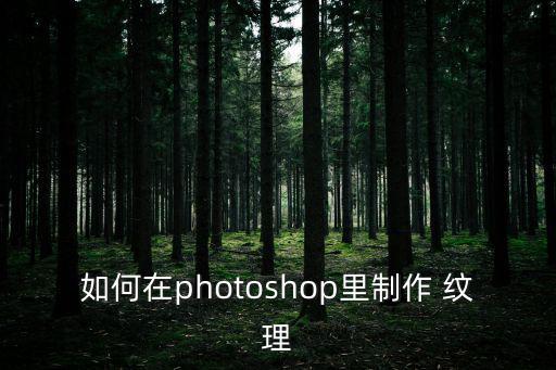 如何在photoshop里制作 紋理