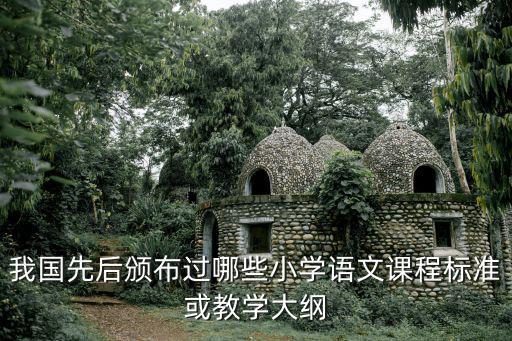 我國先后頒布過哪些小學語文課程標準或教學大綱