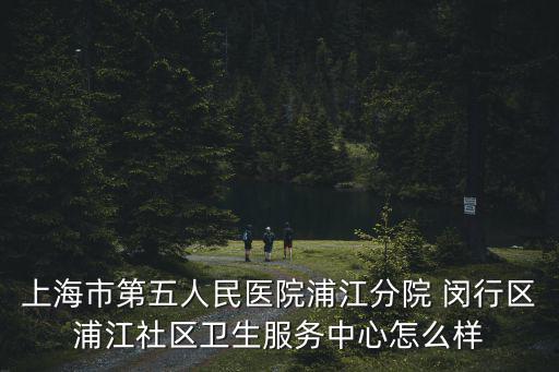上海市第五人民醫院浦江分院 閔行區浦江社區衛生服務中心怎么樣