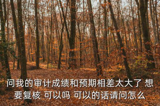 問我的審計成績和預期相差太大了 想要復核 可以嗎 可以的話請問怎么