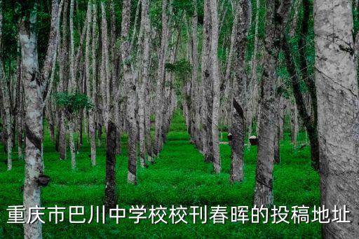 重慶市巴川中學(xué)校?？簳煹耐陡宓刂? class=