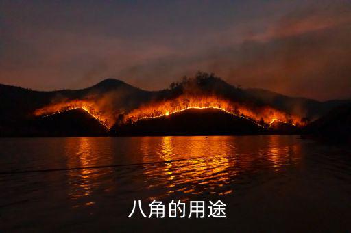  八角的用途
