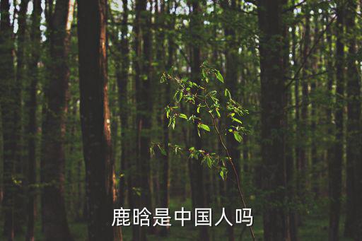 鹿晗是哪里人,中國女歌手韓國出道憑著帥氣外表走紅