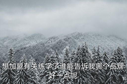 想加盟有關練字了誰能告訴我哪個品牌好一點呢