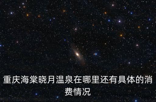 重慶市南坪東路海棠曉月海星閣，南岸區南坪東路581號海棠曉月怎么去
