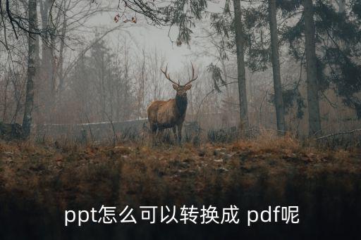  ppt怎么可以轉(zhuǎn)換成 pdf呢