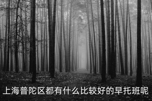 上海普陀區都有什么比較好的早托班呢