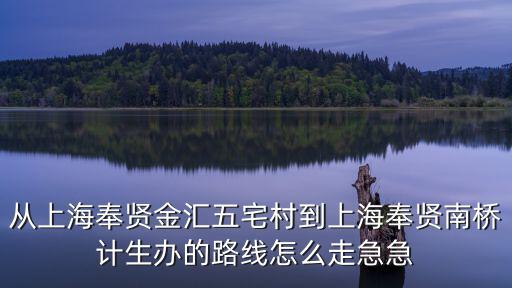 上海市奉賢區(qū)金匯鎮(zhèn)五宅村，從上海奉賢金匯五宅村到上海奉賢南橋計生辦的路線怎么走急急