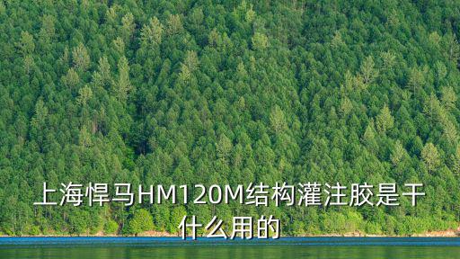 上海市防粘劑是干什么用的，上海悍馬HM120M結構灌注膠是干什么用的